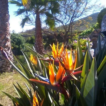 La Casita Ma Petite Folie Tenerife Santa Cruz de Tenerife Esterno foto