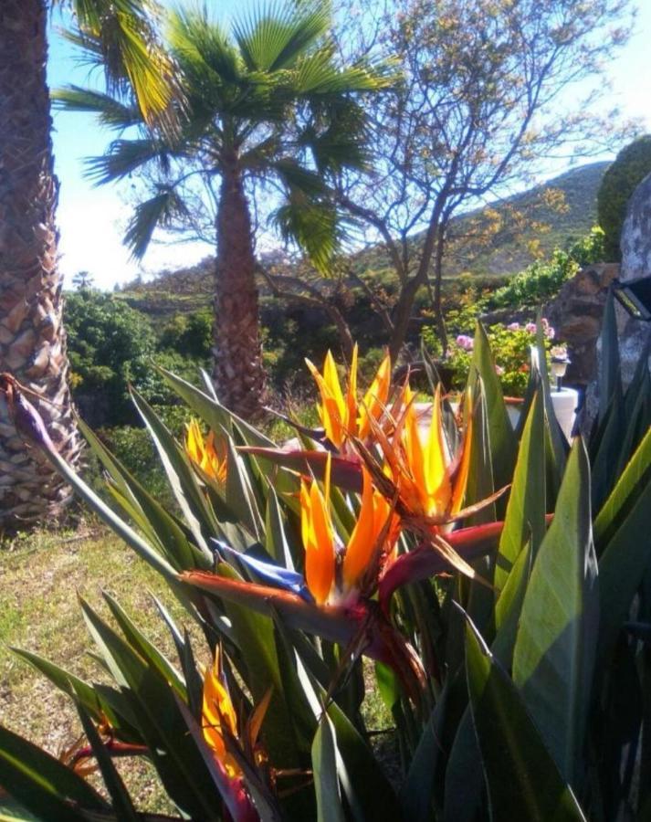Casa vacanze La Casita Ma Petite Folie Tenerife *